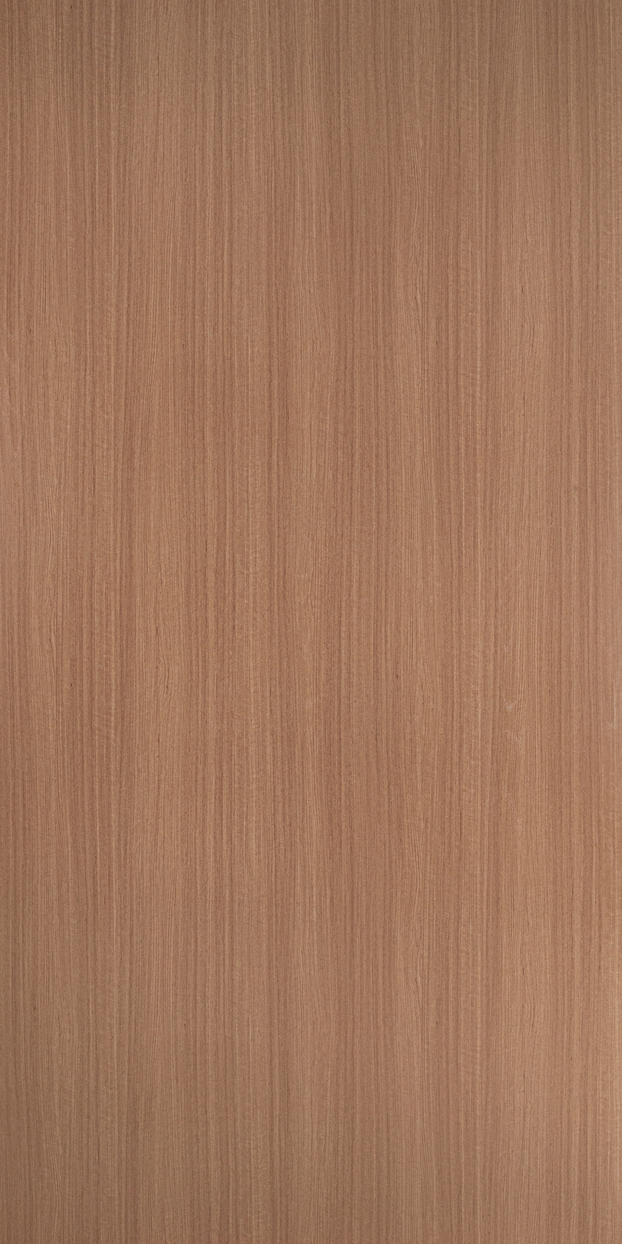 Buy Black Laminates with Fawn (FWN) finish in India Greenlam Laminates