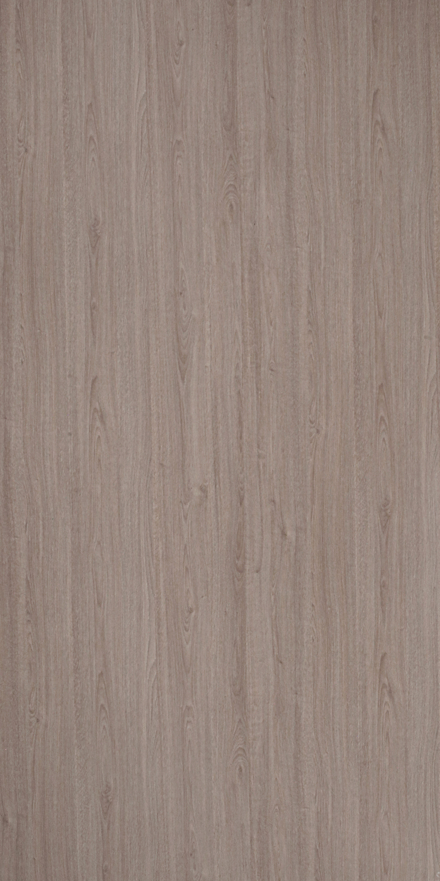 Buy Modern Oak Laminates with Satin (SAT) finish in India Greenlam
