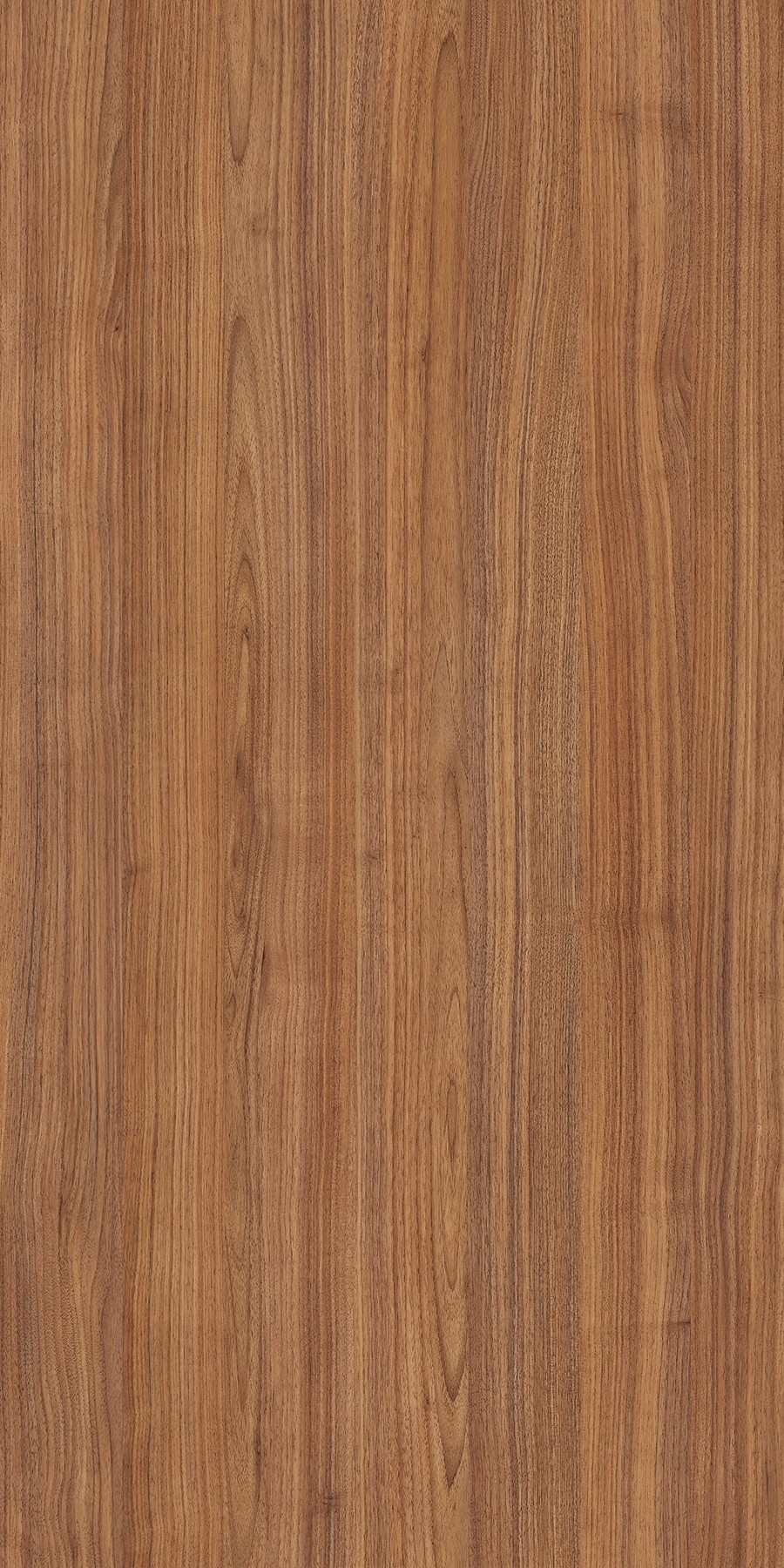 Buy Saturno Walnut Laminates with Suede (SUD) finish in India