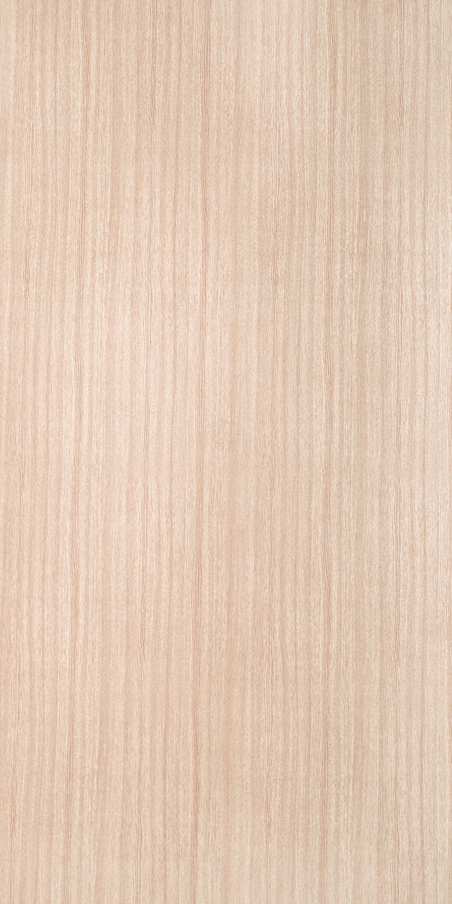 natural Buy Zebrano Laminates with Suede (SUD) finish in India - Greenlam