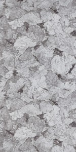 Samsara High Definition Gloss (HDG) laminates by Greenlam