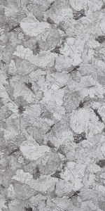 Samsara Satin (SAT) laminates by Greenlam