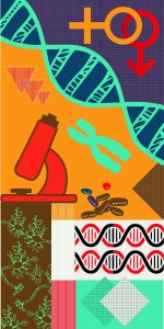 Chromozones Super Gloss (SGL) laminates by Greenlam