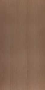 Steam Beech Veneer laminates by Greenlam Laminates