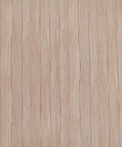Primeval Oak