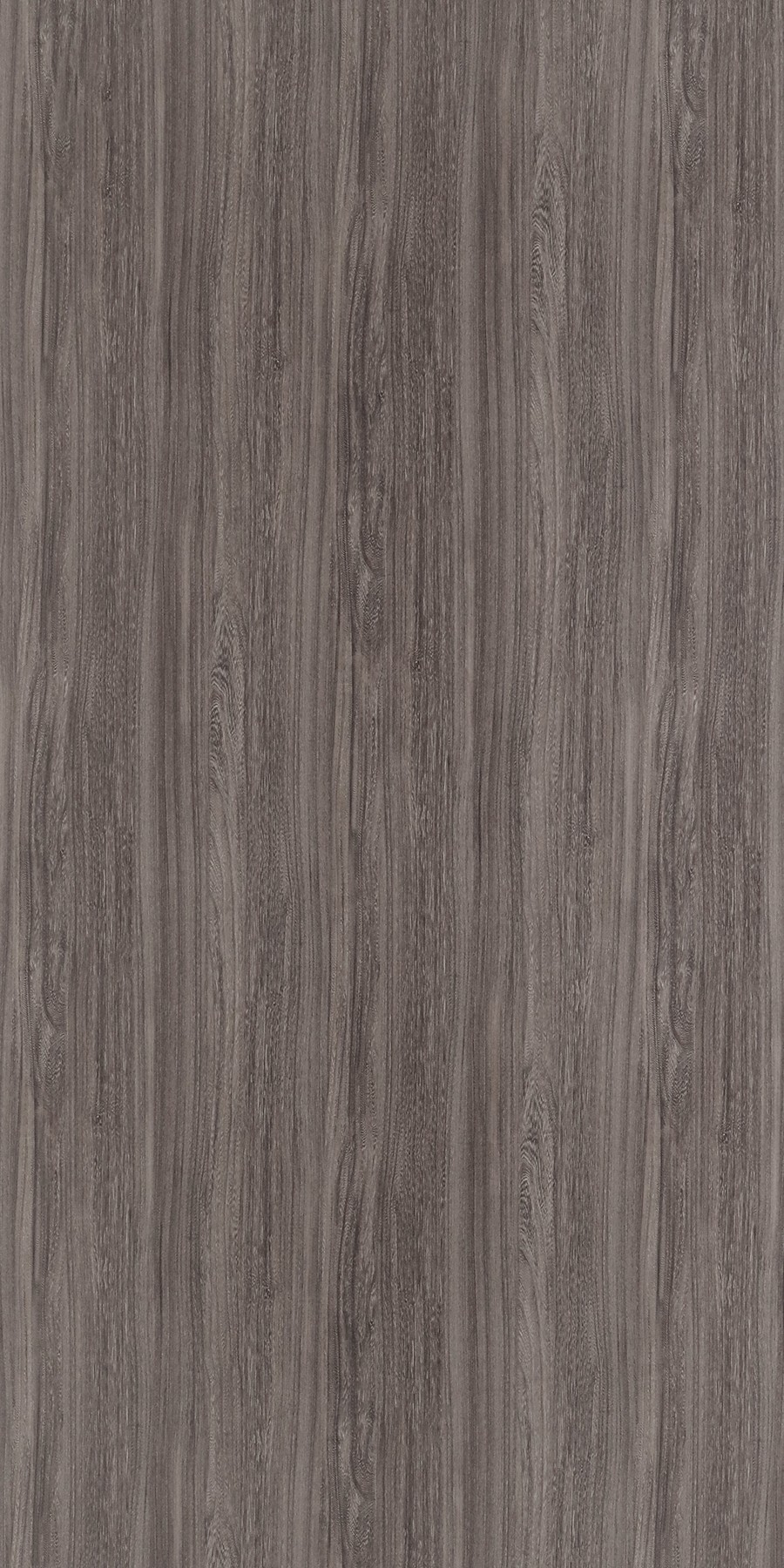 Buy Horizon Elm Brown Laminates with Suede (SUD) finish in India