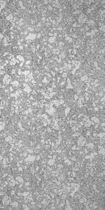 Neptuno Pearl Satin (SAT) laminate sheets by Greenlam