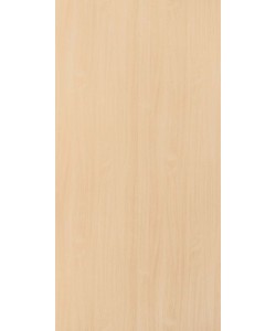 Baverian Beech (Light) Suede (SUD) laminates by Greenlam