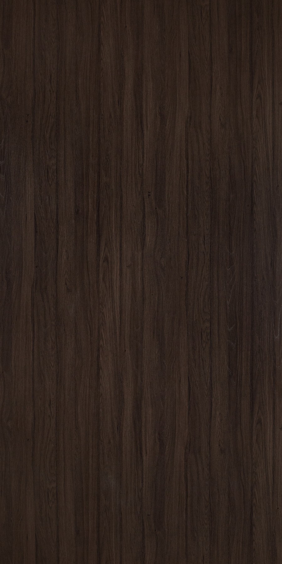 Buy Breza Oak Laminates with Natura (NAT) finish in India Greenlam